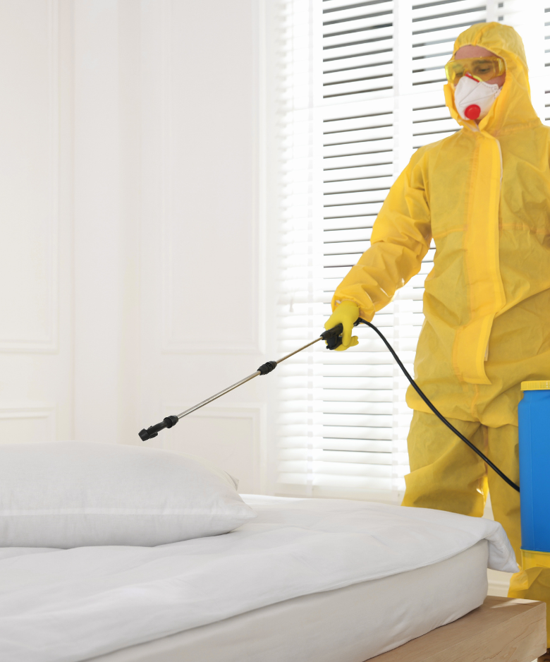 Professional Pest Control Team in Enfield